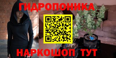сатива Нарткала